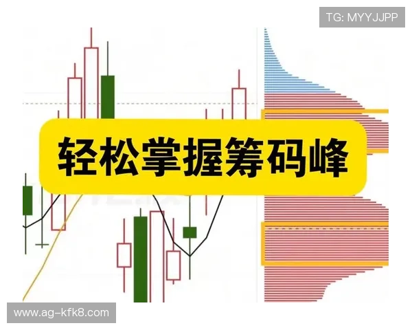 凯发电投网站首页最新资讯与优惠活动全面解析助你轻松掌握最新动态